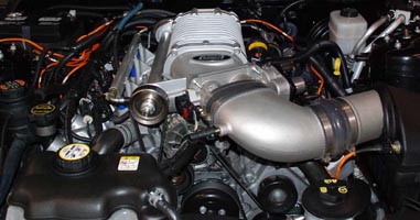 SEMA 2008 Mustang Engine